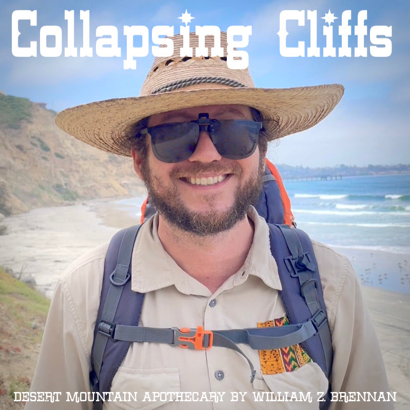 Collapsing Cliffs of Torrey Pines – La Jolla, California – San Diego Pacific Ocean Beach Adventure