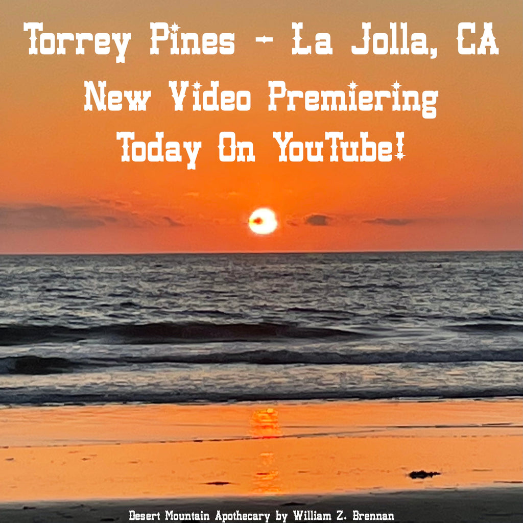 Torrey Pines – La Jolla, California – San Diego Pacific Beach Adventure Is Premiering Today On YouTube!