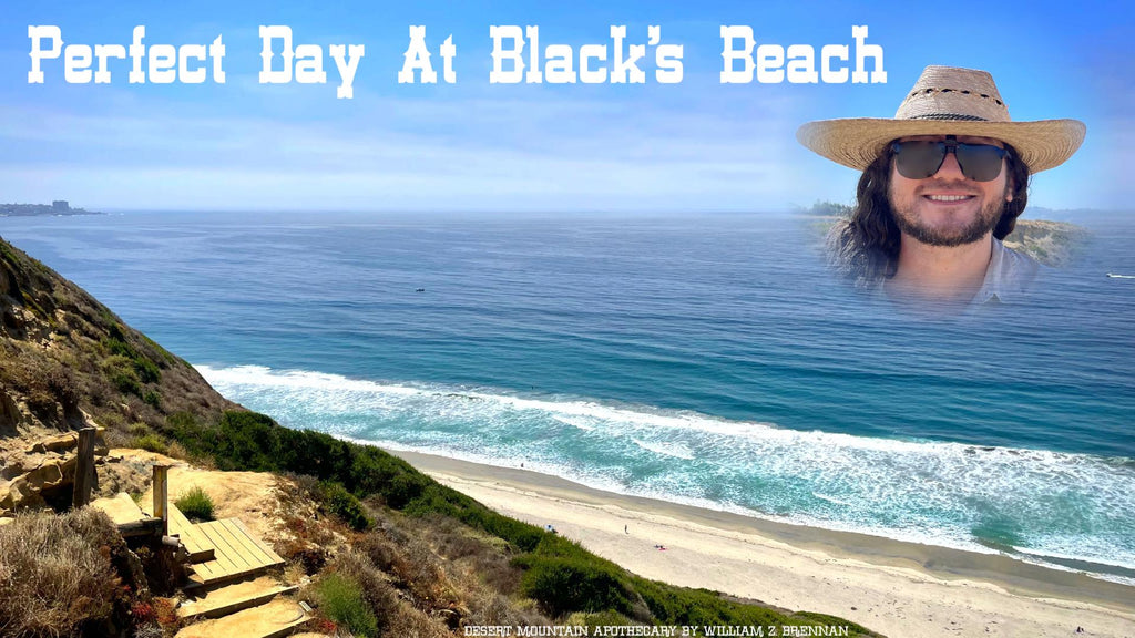 Perfect Day At Black’s Beach – Learn The San Diego Stingray Shuffle!
