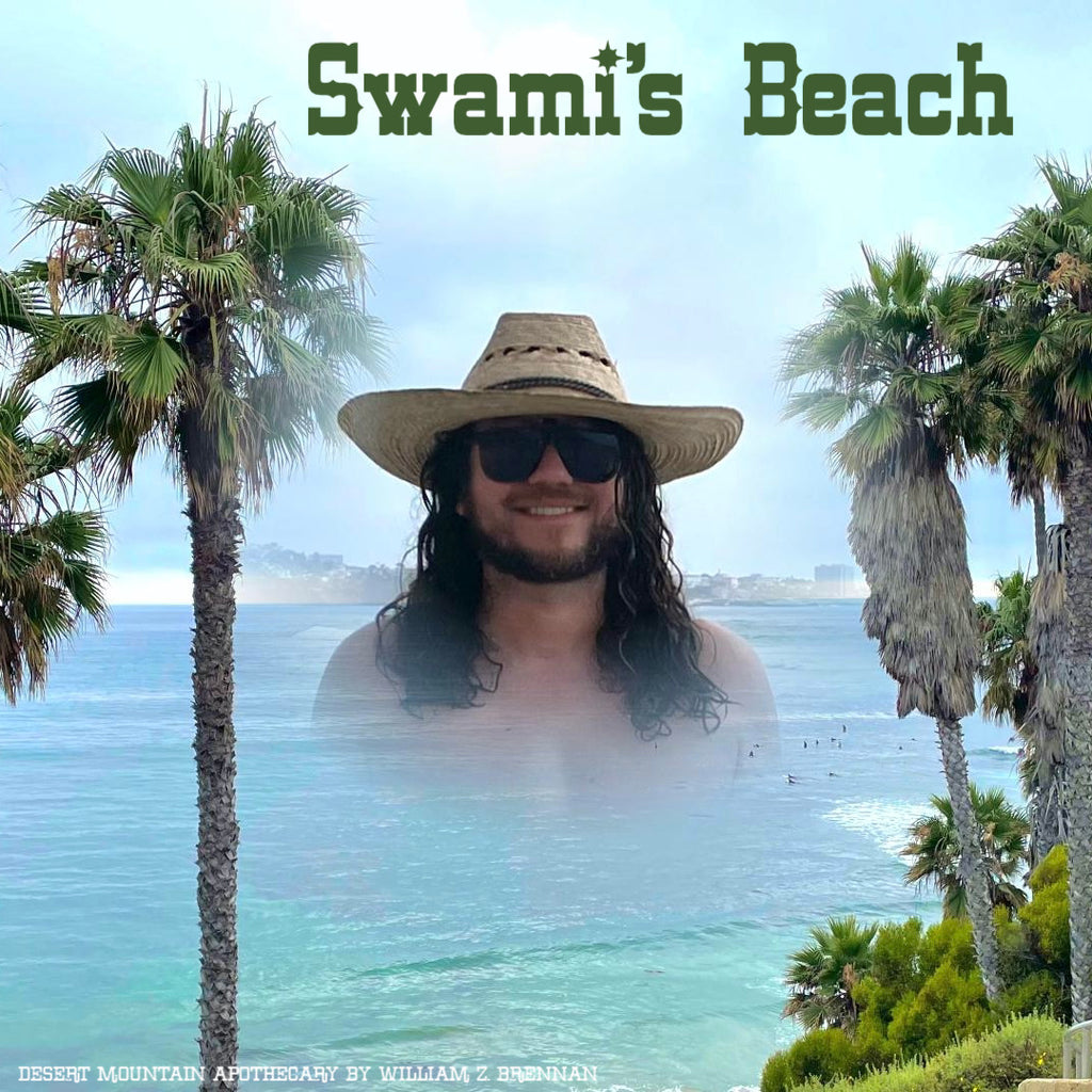 Swami’s Beach – Encinitas, North County San Diego Pacific Ocean Surf Beach Adventure