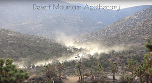 Mojave Desert Dust Kicking